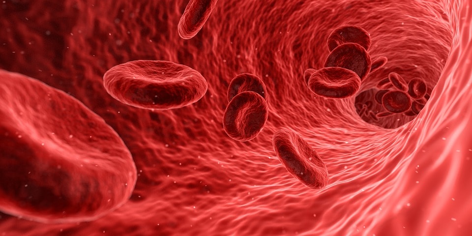 Talassemia prevenzione a portata di Click